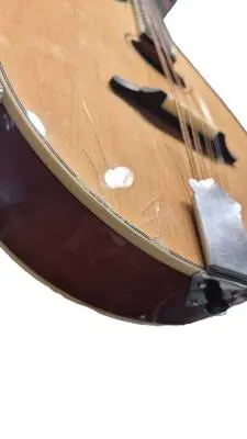 Trinity College Celtic Mandola 2