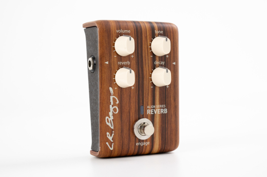 Gear Hunter | L.R Baggs - Align Series Reverb Acoustic Pedal