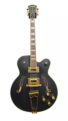 Gretsch Guitars - Tim Armstrong 2