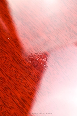 Gibson - Slash Les Paul Standard - Appetite Burst 7