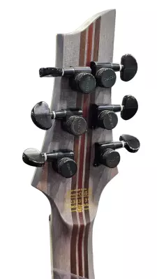 Schecter - SLS C-1 Elite