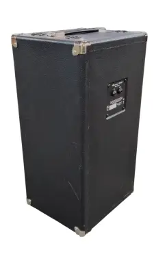 Store Special Product - Ampeg - SVT-210AV