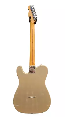 Fender DE American Professional II Telecaster Shoreline Gold 6