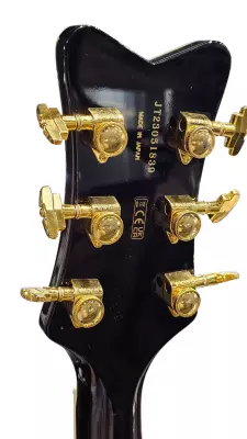 Gretsch Guitars - Limited Edition Paisley Penguin 2