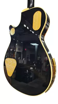 Gretsch Guitars - Limited Edition Paisley Penguin 2
