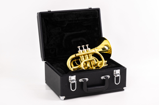 Jupiter - JTR710 Series Bb Pocket Trumpet - Lacquer 2