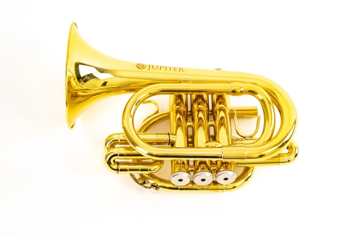 Jupiter - JTR710 Series Bb Pocket Trumpet - Lacquer 5