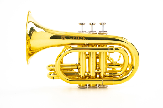 Jupiter - JTR710 Series Bb Pocket Trumpet - Lacquer