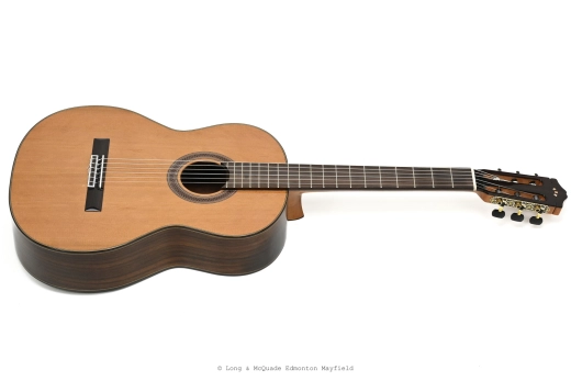 Cordoba - C7 CD Classical Guitar w/ Case