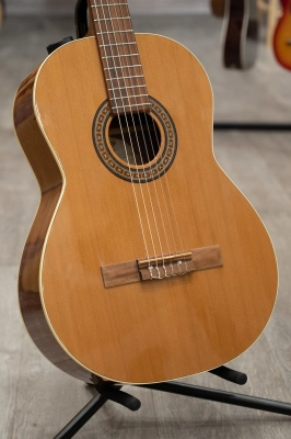 La Patrie Guitars - LP0425 Concert w/ Bag 2