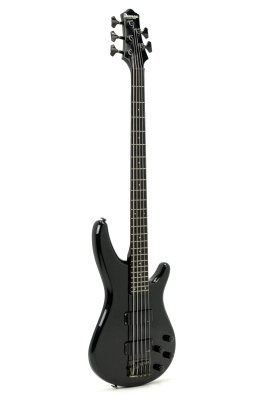 Ibanez - Roadster RB885 w/ Road Case