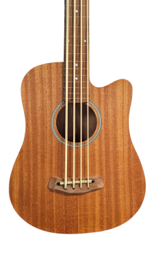 Gold Tone - Microbass Fretless