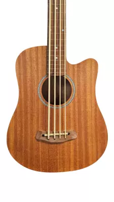 Gold Tone - Microbass Fretless