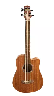 Gold Tone - Microbass Fretless 2