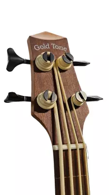 Gold Tone - Microbass Fretless 3