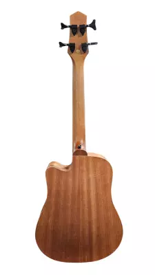 Gold Tone - Microbass Fretless 5