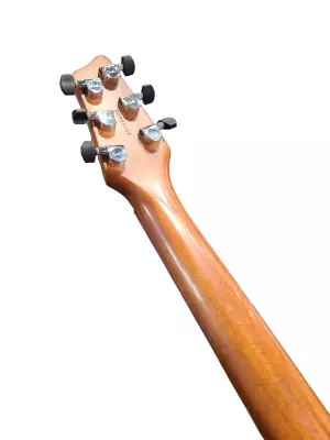 Godin - LG P90 2