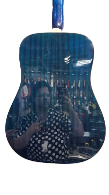 Gear Hunter | Epiphone - HUMMINGBIRD PRO LTD-BLUE BURST