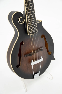 Gold Tone - F-6 6-String F-style Mando-Guitar with Pickup and Case 2