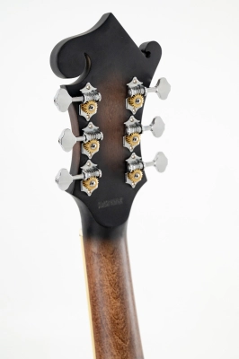 Gold Tone - F-6 6-String F-style Mando-Guitar with Pickup and Case 2