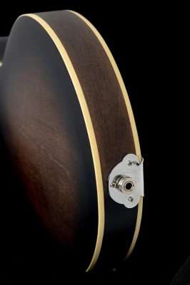 Gold Tone - F-6 6-String F-style Mando-Guitar with Pickup and Case 2