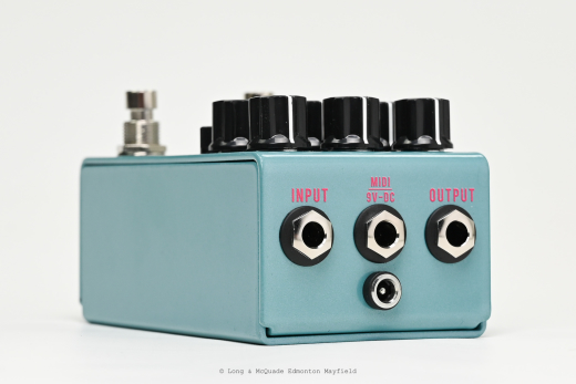 Jackson Audio - ASABI OVERDRIVE DISTORTION - MATEUS ASATO