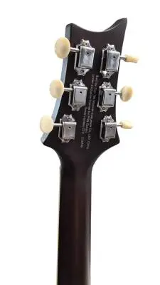 PRS P20 Parlor Acoustic 2