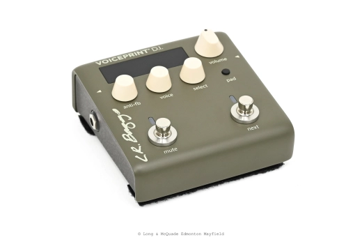 Store Special Product - L.R Baggs - Voiceprint DI Acoustic Guitar Impulse Response Pedal