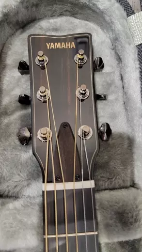 YAMAHA PREMIUM FG-INDIAN RW, ADSP W/HSC 2