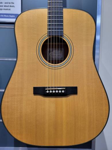 Store Special Product - Larrivee - D-03