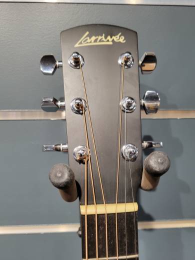 Store Special Product - Larrivee - D-03