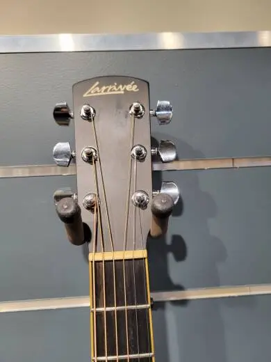 Larrivee - D-03 2