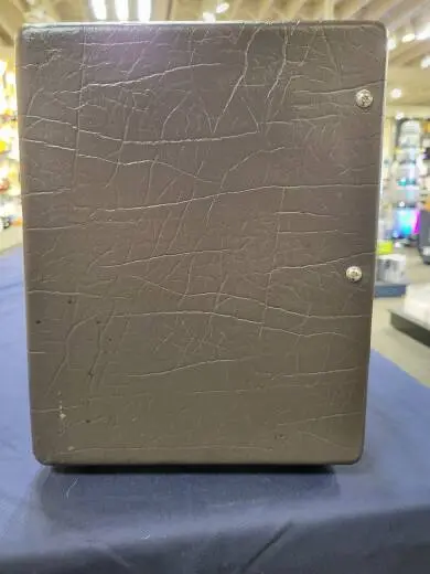 FENDER ACOUSTIC JR GO 2