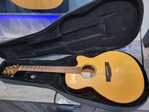 TAKAMINE G NEX 3PIECE BACK AE CA - EG463SC 2