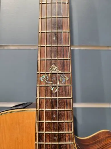 TAKAMINE G NEX 3PIECE BACK AE CA - EG463SC 2