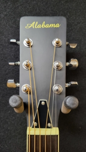 Alabama WD-2CE Resonator 2
