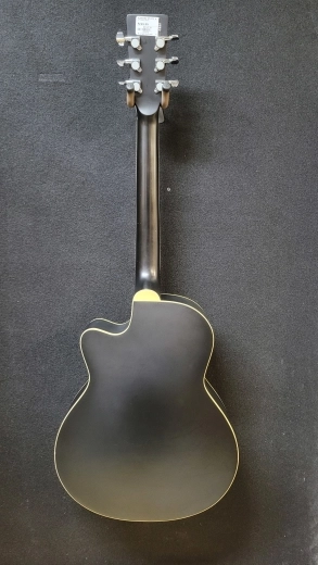 Alabama WD-2CE Resonator 2