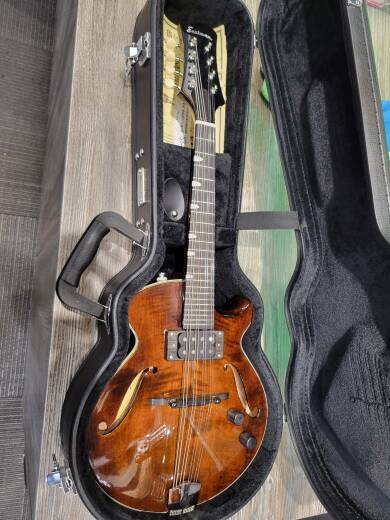 Eastman Guitars - ER-M
