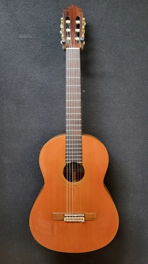 YAMAHA TOP: SOLID CEDAR F/B: INDIAN ROSEWOOD