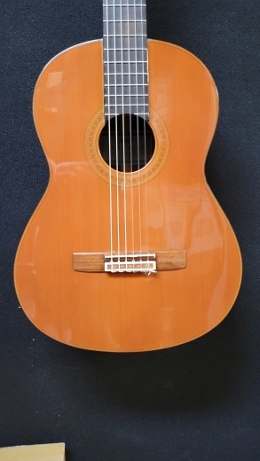 YAMAHA TOP: SOLID CEDAR F/B: INDIAN ROSEWOOD 4