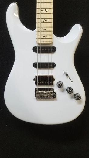 PRS S2 FIORE SUGAR MOON W/GB 4