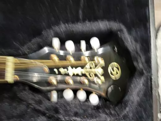 SAMICK MF-1 MANDOLIN 2