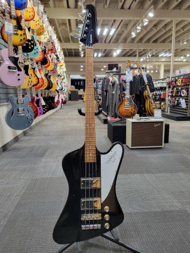 Epiphone Thunderbird Vintage Pro - Ebony | Long & McQuade