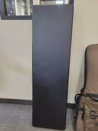 EPIPHONE T-BIRD VINTAGE - EBONY 2