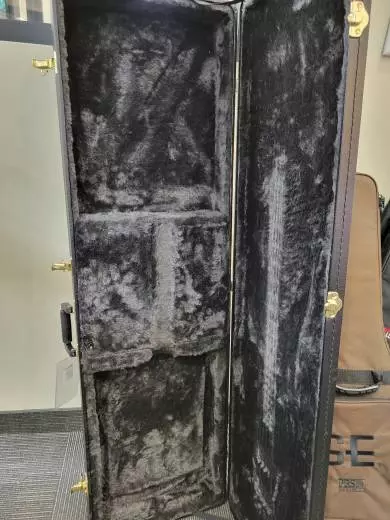 EPIPHONE T-BIRD VINTAGE - EBONY 2