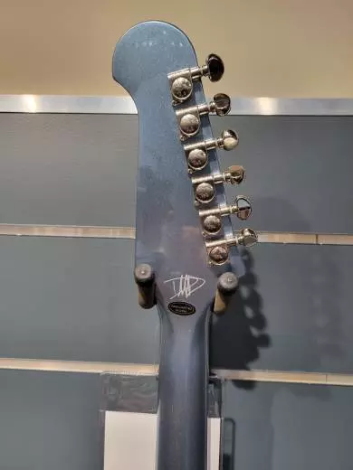 EPI CS DAVE GROHL DG-335 W/CASE 2
