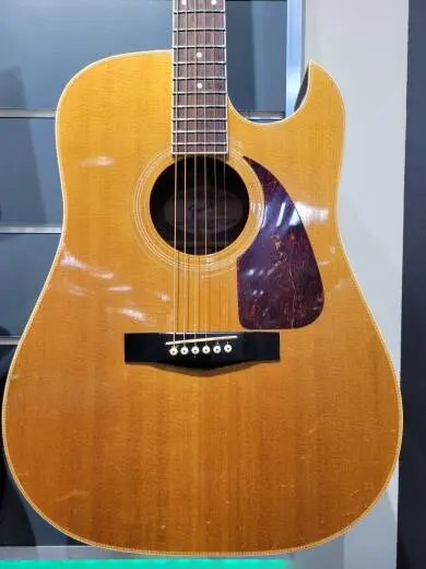 FENDER F-270SCE 2