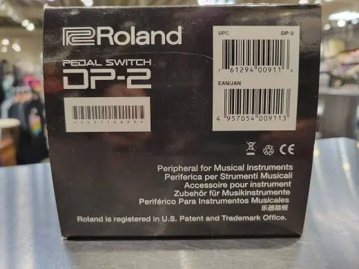 Roland - DP-2