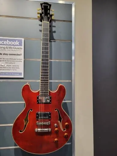 Eastman Guitars - T185MX 2