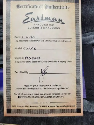 Eastman Guitars - T185MX 2